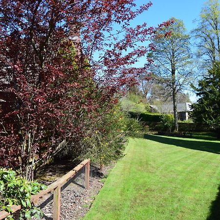 Auburn Cottage Arbroath Exterior photo